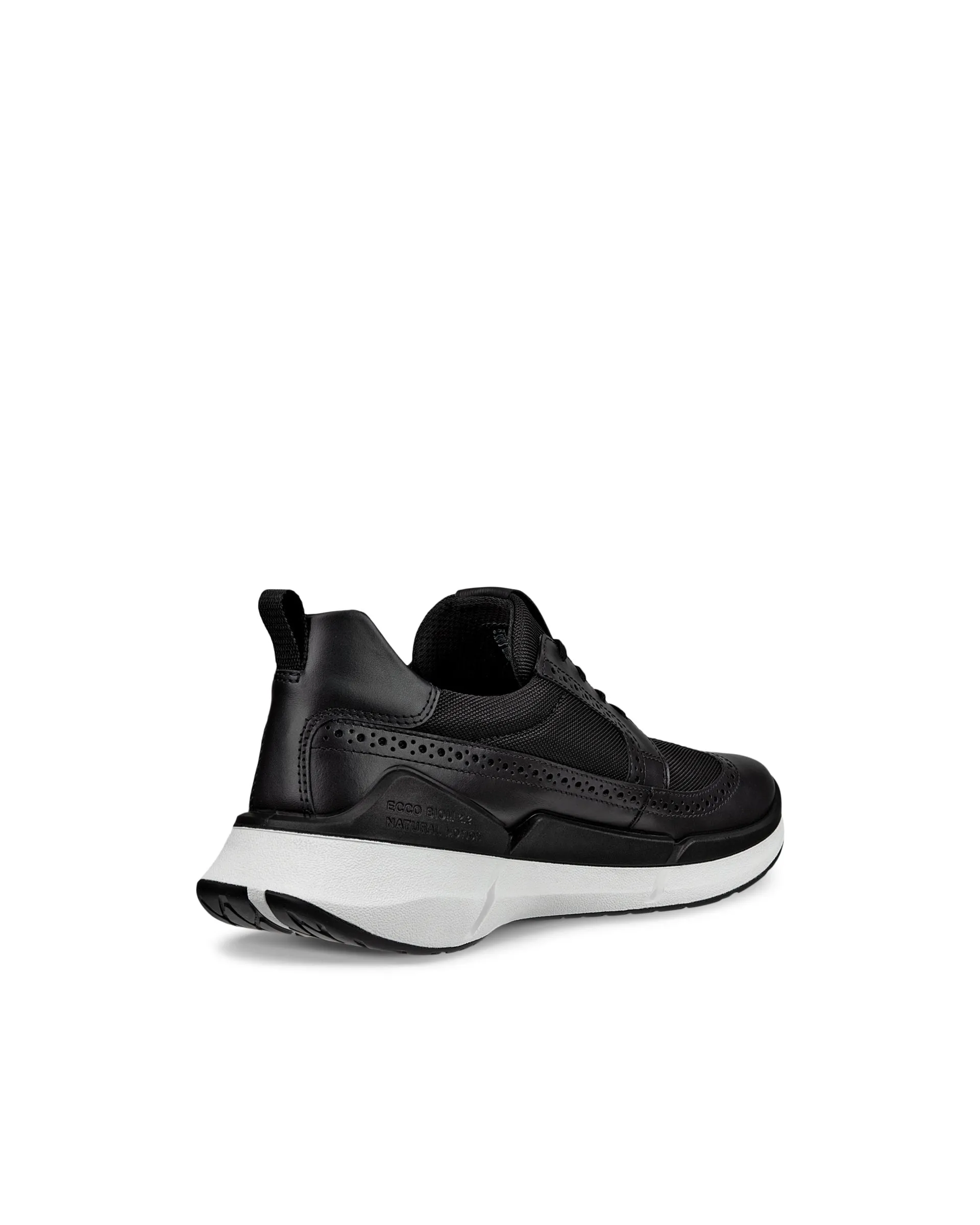 ECCO Biom 2.2