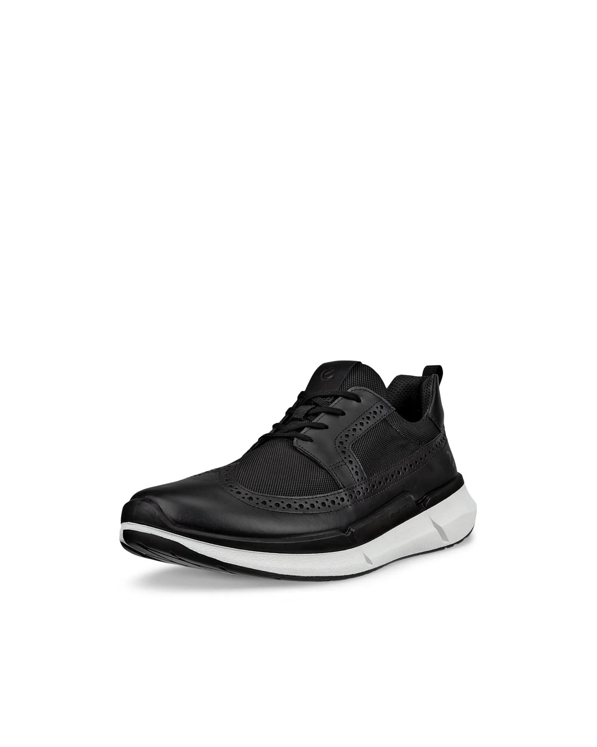 ECCO Biom 2.2