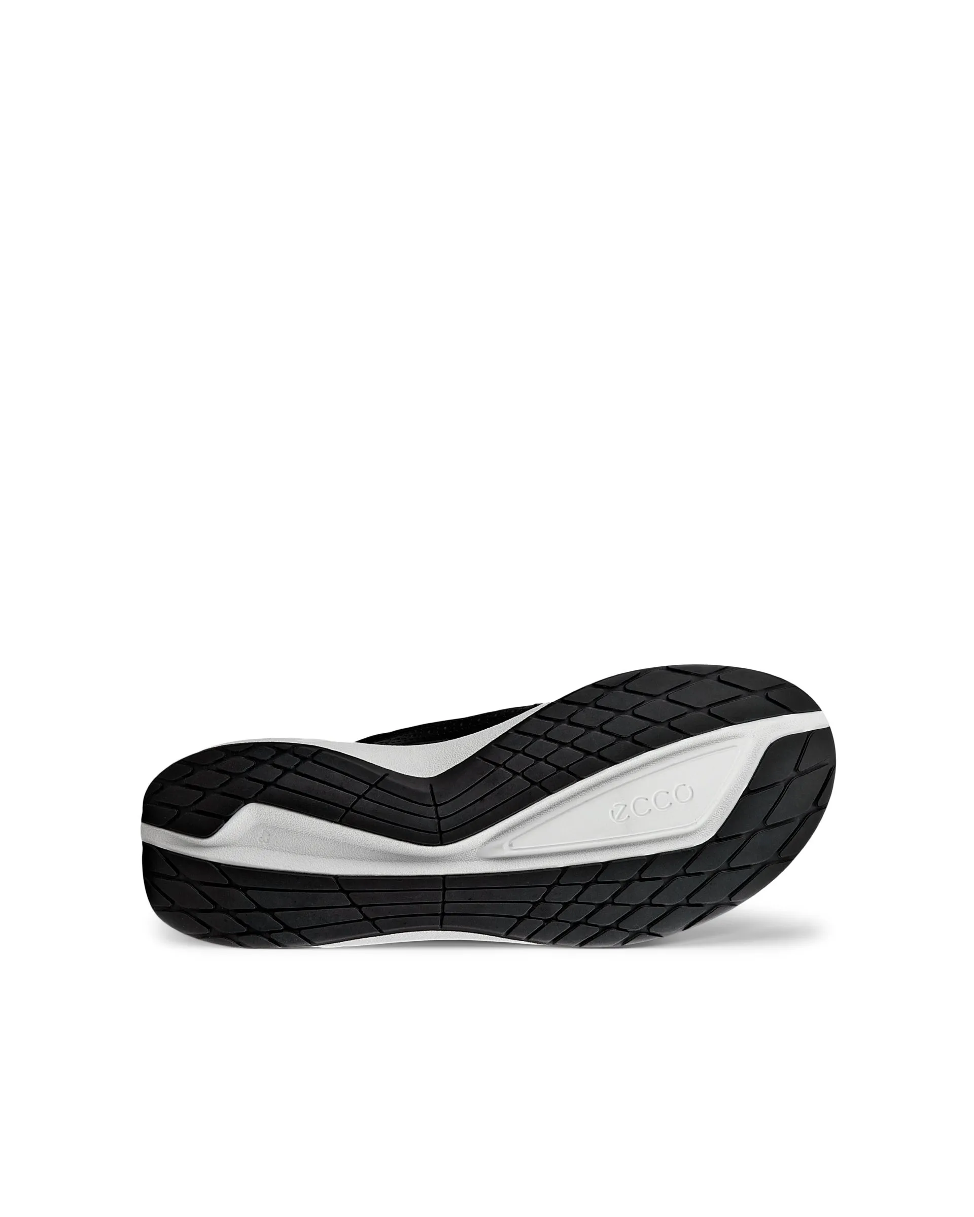 ECCO Biom 2.2