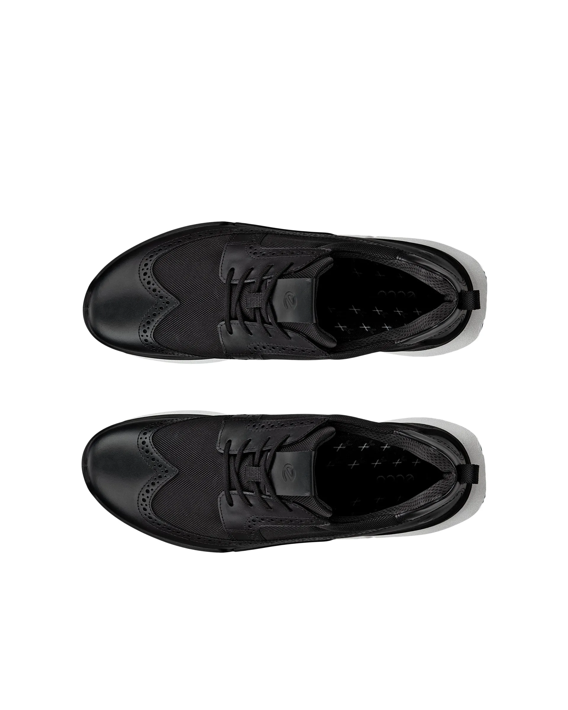 ECCO Biom 2.2