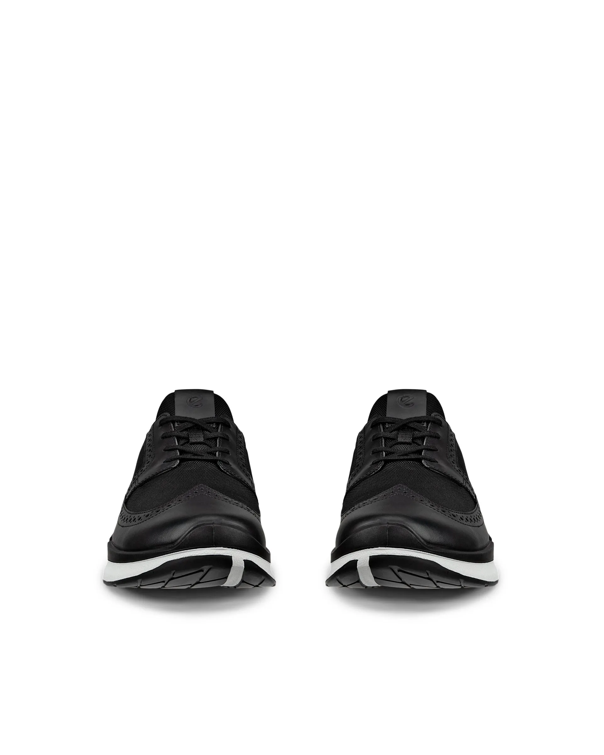 ECCO Biom 2.2