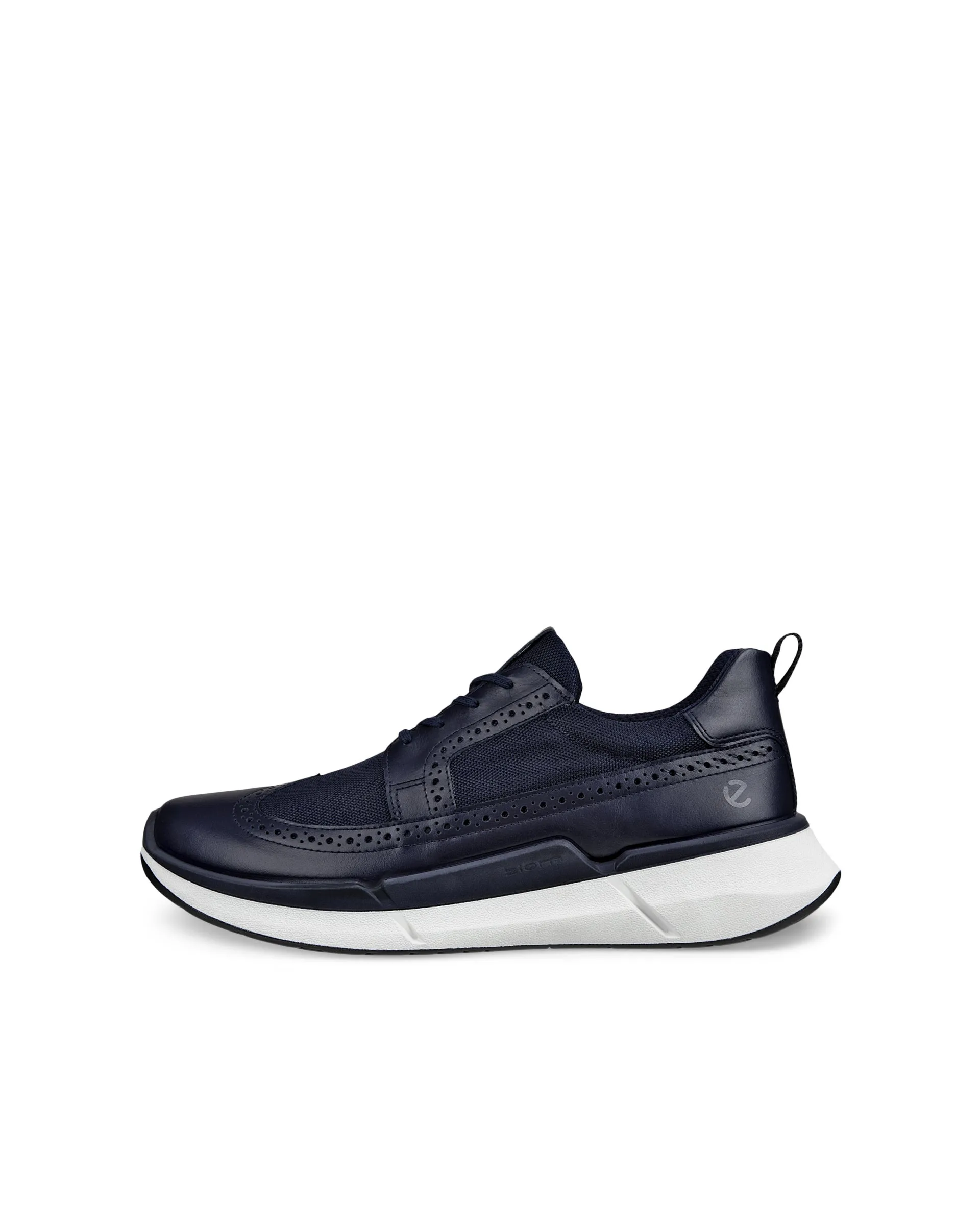 ECCO Biom 2.2
