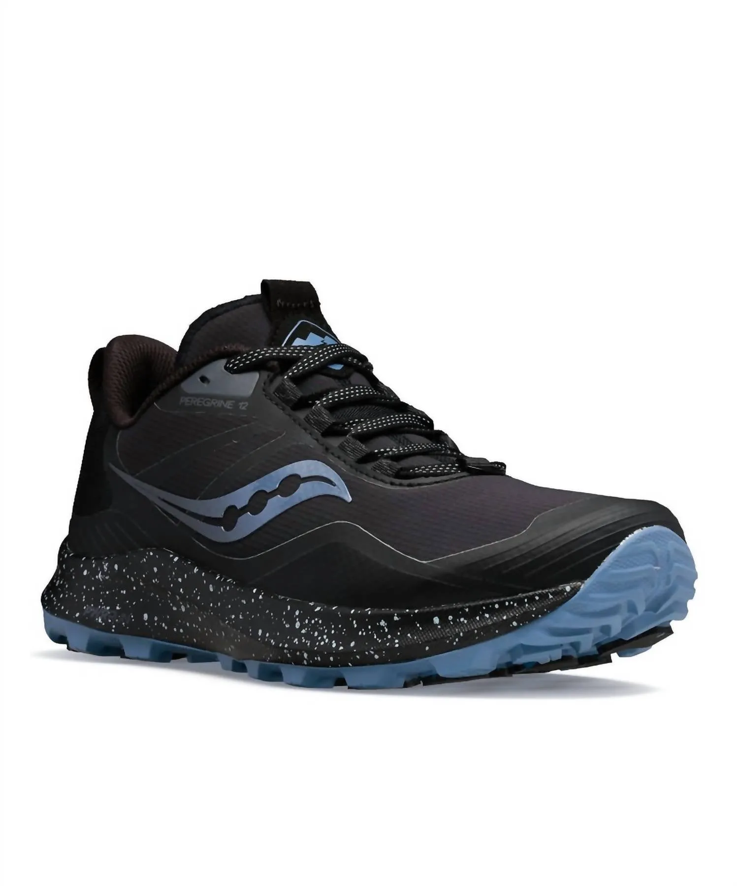 Women's Peregrine Ice 3 In Black